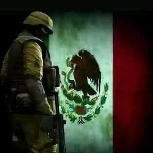 Meet your Posher, Franky